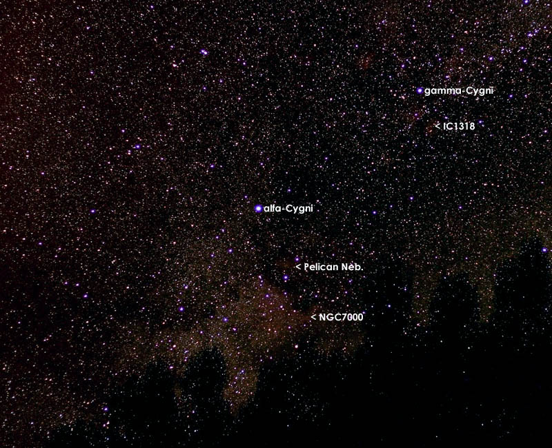 Constellations In The Sky. Bottom: Lyra constellation